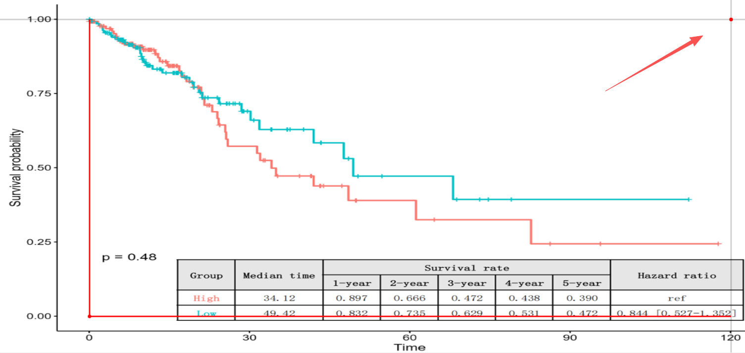 image-20250115172307653